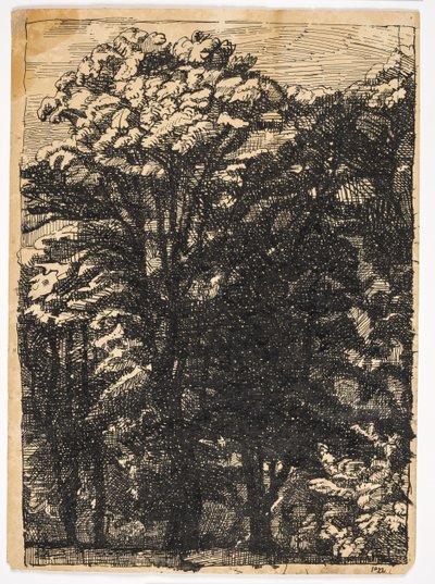Árboles de Christian Kongstad Petersen