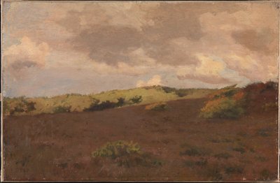 Paisaje de brezal. Otoño de Christian Mourier Petersen