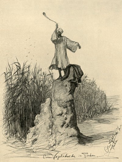 Hombre espantando pájaros, Tebas, Egipto de Christian Wilhelm Allers