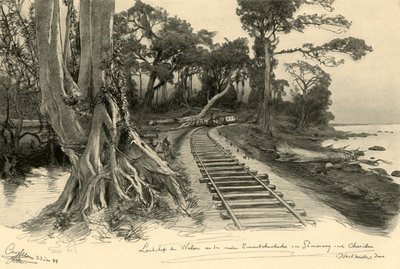 Ferrocarril, Weleri, Java, 1898 de Christian Wilhelm Allers