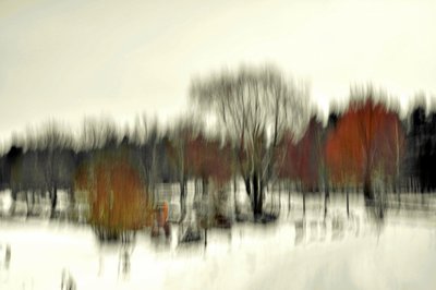 Resumen: Bosque invernal de Christina Sillen