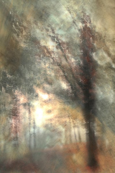  de Christina Sillen