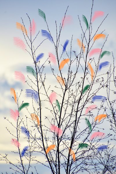 Ramas primaverales llenas de color de Christina Sillen