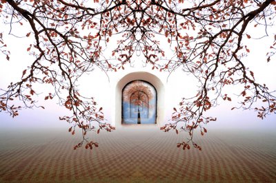 Arco otoñal de ensueño de Christina Sillen