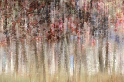 Reflexiones otoñales de ensueño de Christina Sillen