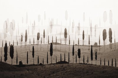 Las idílicas colinas de Cypress de Christina Sillen