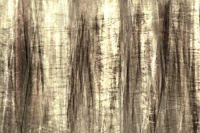 Líneas del bosque de ensueño de Christina Sillen