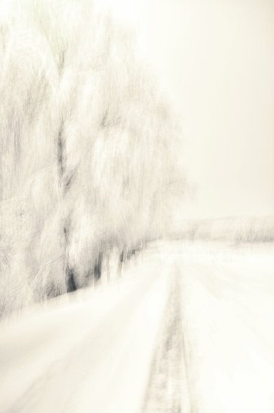 Un sendero invernal de ensueño de Christina Sillen