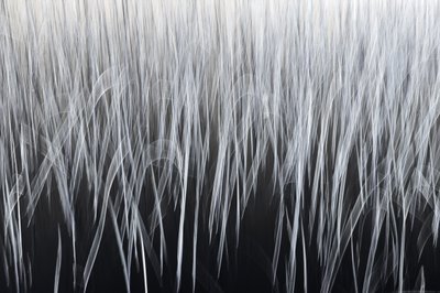 Líneas verticales etéreas de Christina Sillen