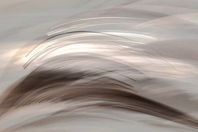 Luz abstracta y fluida de Christina Sillen