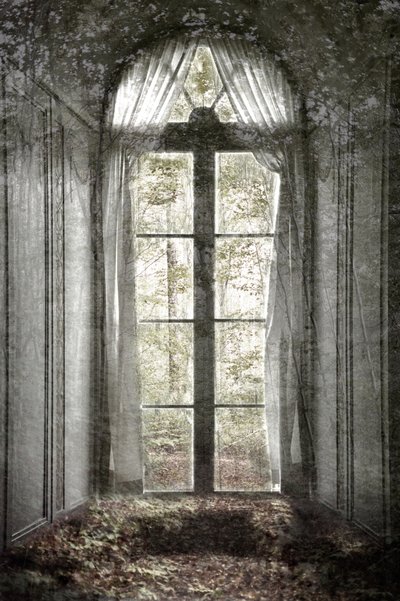 Ventana del Bosque Olvidado de Christina Sillen