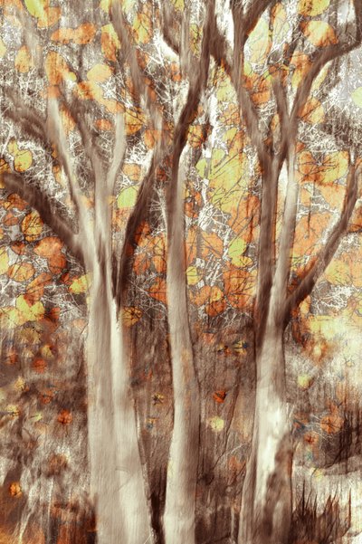 Bosque otoñal dorado de Christina Sillen