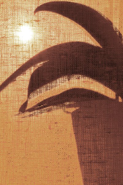 Silueta de una mañana dorada de Christina Sillen