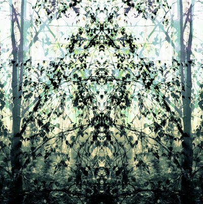 El sueño del bosque de espejos de Christina Sillen
