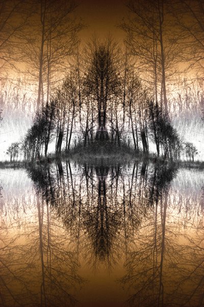 El lago del Bosque Espejo de Christina Sillen