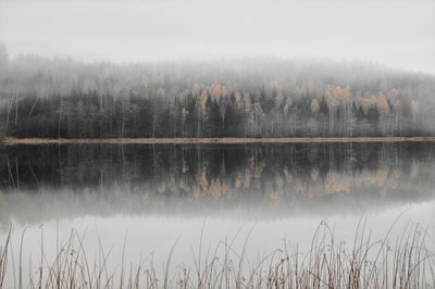Lago otoñal envuelto en niebla de Christina Sillen
