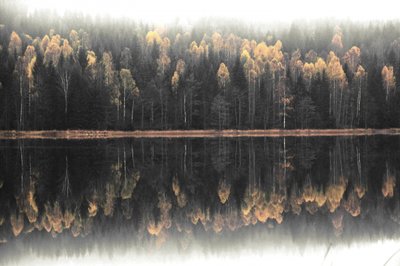 Reflejo otoñal en la niebla de Christina Sillen