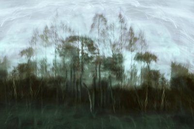 El sueño del bosque brumoso de Christina Sillen