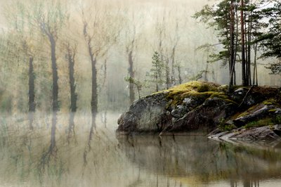 El lago del Bosque Brumoso de Christina Sillen
