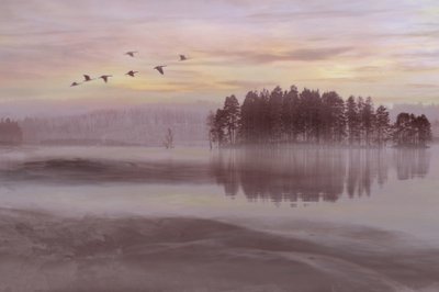 El vuelo de las aves sobre el lago Misty de Christina Sillen
