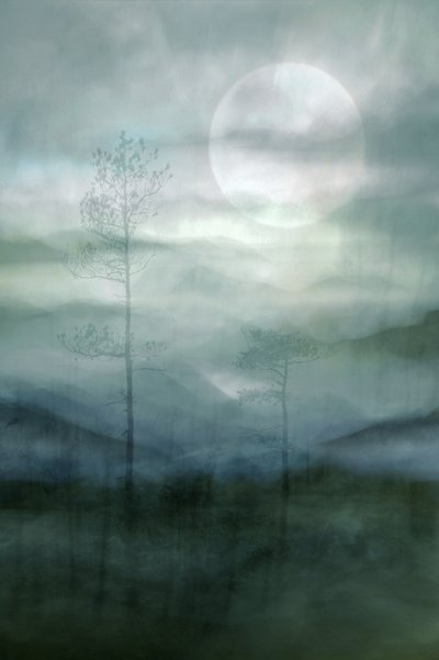 Bosque brumoso a la luz de la luna de Christina Sillen