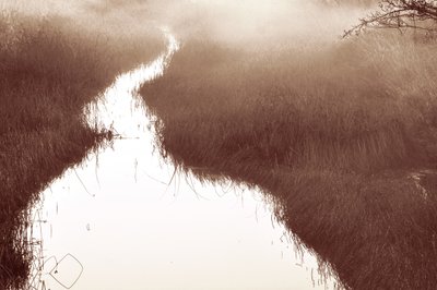 El sendero del río Misty de Christina Sillen