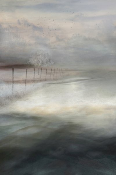 Paisaje invernal brumoso de Christina Sillen