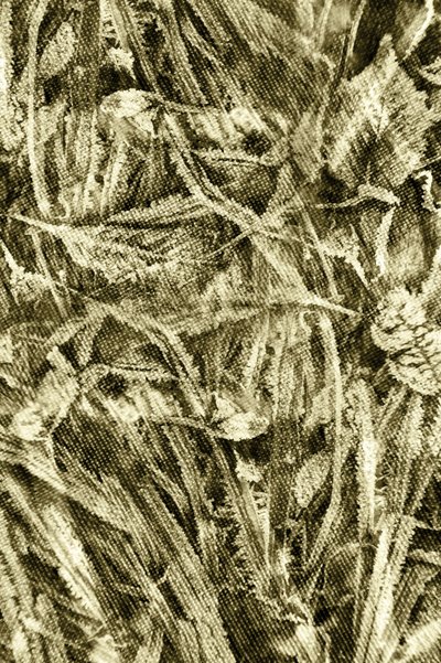 Textura de hoja rústica de Christina Sillen
