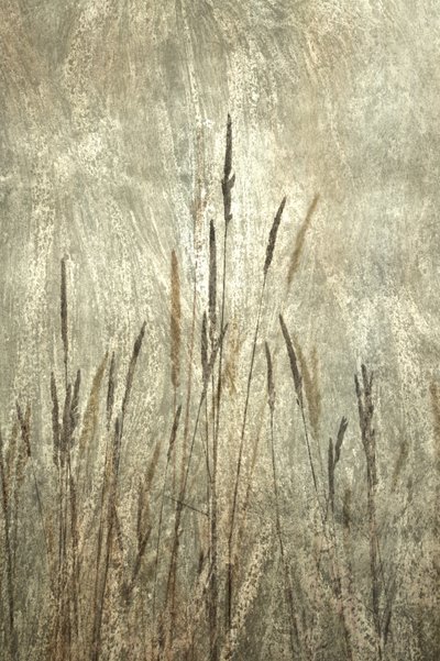  de Christina Sillen