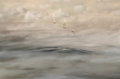 Silver Haze de Christina Sillen