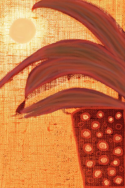 Planta del desierto soleado de Christina Sillen