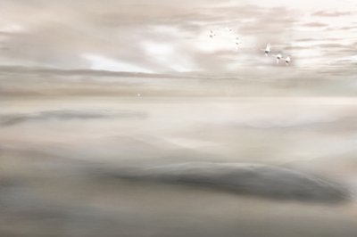 Canto del cisne a la niebla de Christina Sillen