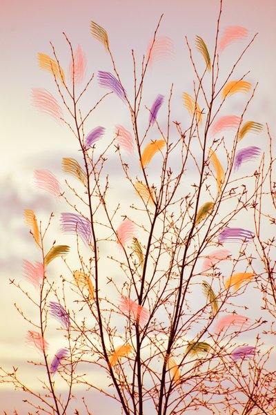Ramas primaverales caprichosas de Christina Sillen