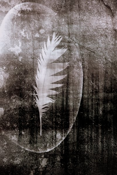 Luna de la Pluma Blanca de Christina Sillen