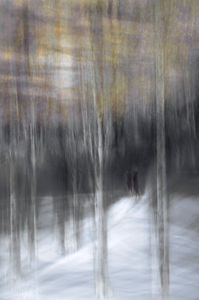 Paseo por el bosque en invierno de Christina Sillen