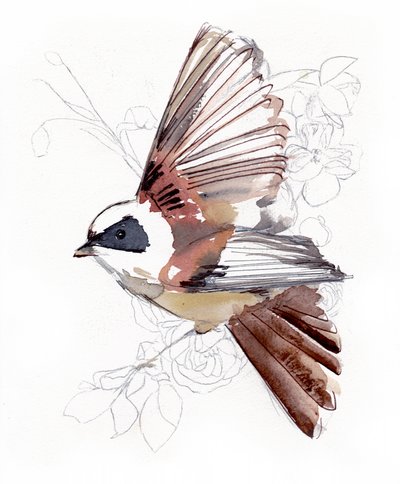Pájaro volador en acuarela de Christine Lindstrom