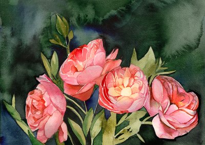 Flores en acuarela rosa de Christine Lindstrom