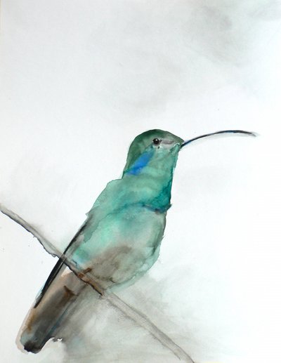Colibrí verde azulado en acuarela de Christine Lindstrom