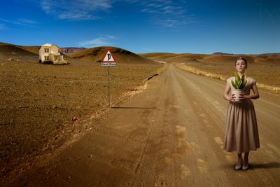 A paso de tortuga de Christine von Diepenbroek