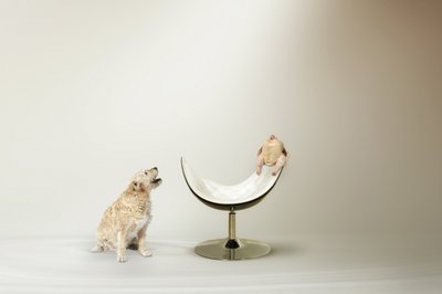 El dilema del pollo del perro de Christine von Diepenbroek
