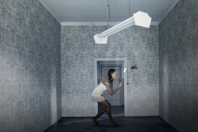 Un insecto gigante intruso de Christine von Diepenbroek