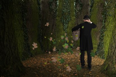 El viaje del hombre por el bosque de Christine von Diepenbroek