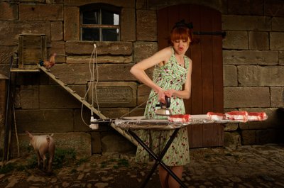 Planchado en la granja Quirky de Christine von Diepenbroek