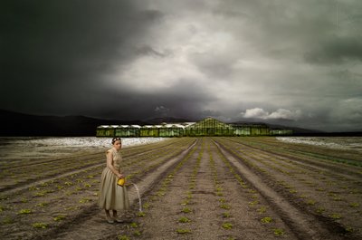El jardinero solitario: Stormy Field de Christine von Diepenbroek