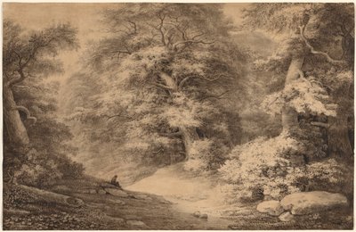 Un bosque de hayas con un viajero descansando, 1803 de Christoph Nathe
