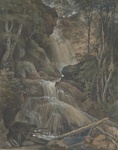 Una Cascada en un Bosque en Langhennersdorf, siglo XVIII-principios del XIX de Christoph Nathe
