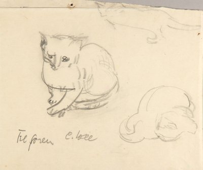 Gatos de Christoph Voll