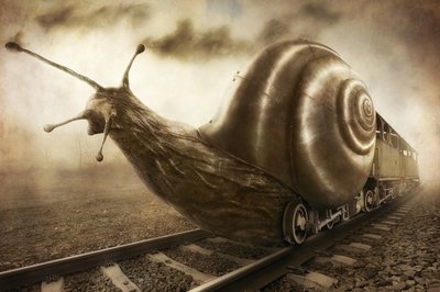  de Christophe Kiciak