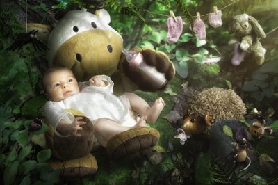 Dulces amigos del bosque de Christophe Kiciak