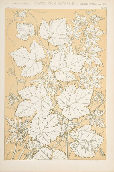 Hojas de la naturaleza, 1868 de Christopher Dresser
